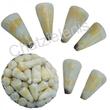 105391 Καλάθι με Κοχύλια Conus Σκαλισμένα