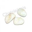 105613 Όστρακο White Shell 3-