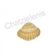 105615 Όστρακο Cardium Pseudolima