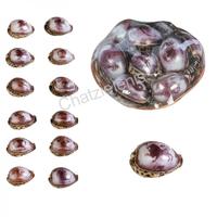 105024 Καλάθι με Όστρακα Cyprea με Ζώδια