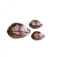 105032 Όστρακο Cyprea Tiger Σκαλιστό