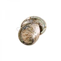 105046 Όστρακο Abalone Medae