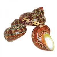 105196 Όστρακο Turbo Petholatus Polished 2