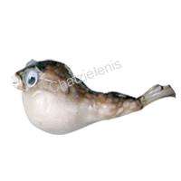 105284 Ψάρι Porcupine 4-5