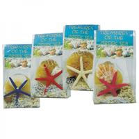 105384 Όστρακα σε Πλαστική θηκούλα