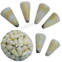 105391 Καλάθι με Κοχύλια Conus Σκαλισμένα