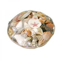 105459 Καλάθι με Όστρακα Απλό 10΄