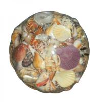 105461 Καλάθι με Όστρακα Κοράλι 8΄