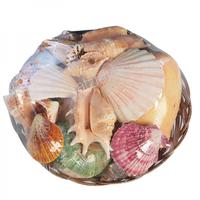 105463 Καλάθι με Όστρακα Fruits of The Sea 10΄