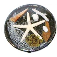 105488 ΠΙΑΤΑΚΙ ΜΙΝΙ ΟΣΤΡΑΚΟ