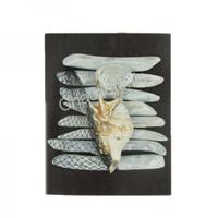 105537 Επιτοίχιο με Όστρακο Lambis