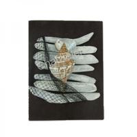 105538 Επιτοίχιο με Όστρακο Fasciolaria