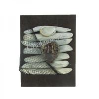 105540 Επιτοίχιο με Όστρακο Cyprea Tiger