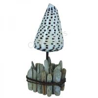 105545 Επιτραπέζιο Διακοσμητικό με Conus Liter