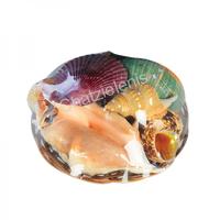 105578 Καλάθι με Όστρακα Fruits of the Sea 6΄