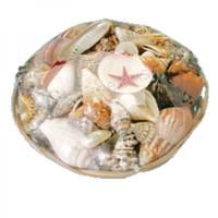 105606 Καλάθι με Όστρακα Απλό 12΄