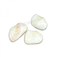 105613 Όστρακο White Shell 3-