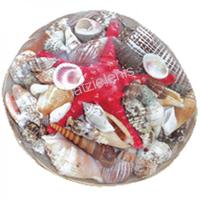 105670 Καλάθι με Όστρακα 12΄