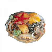 105776 Καλάθι Scallop με Όστρακα 6΄