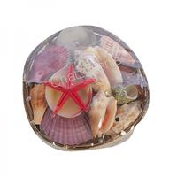 105782 Καλάθι Μπαμπού με Όστρακα 6΄