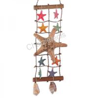 105816 Δίχτυ με Χρωματιστούς Αστερίες