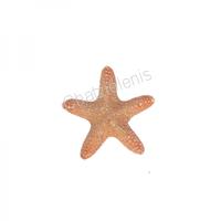 105841 Aστερίας Jungle 4UP