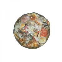 105854 Καλάθι με Όστρακα Κοράλι 4΄