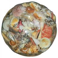 105855 Καλάθι με Όστρακα Κοράλι 10΄