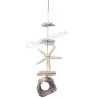 105874 ΚΡΕΜΑΣΤΟ ΜΕ ΑΣΤΕΡΙΑ , PLACUNA & DRIFTWOOD