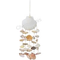 105906 ΜΕΛΩΔΟΣ ΟΣΤΡΑΚΑ SCALLOP 18004