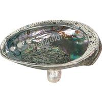 105971 ΚΟΧΥΛΙ ΜΕ ΑΣΗΜΙ ABALONE PAVA