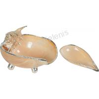 105981 ΚΟΓΧΥΛΙ ΜΕ ΑΣΗΜΙ MELO ΜΕ ΚΟΥΤΑΛΙ