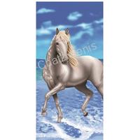 ΠΕΤΣΕΤΑ ΑΛΟΓΟ ΑΣΠΡΟ SUMMERIZE 75Χ150