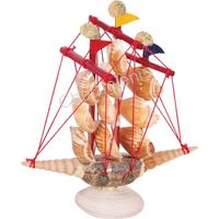 135495 ΚΑΡΑΒΙ ΟΣΤΡΑΚΑ CYPRAEA-CANARIUM16X13