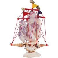 135497 ΚΑΡΑΒΙ MUREX -VIOLET CLAM 18X16