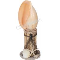135571 ΟΣΤΡΑΚΟ CONUS MILES