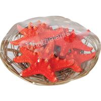 105882 ΑΣΤΕΡΙΕΣ RHINO ΠΟΡΤΟΚΑΛΙ 2--3- 6 ΤΕΜ