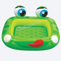 140099 Πισίνα Βάτραχος