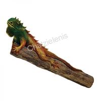 189048 Ιγκουάνα σε Κορμό