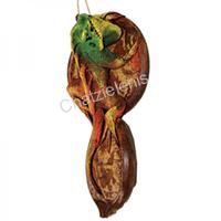 189057 Ιγκουάνα σε Κέλυφος