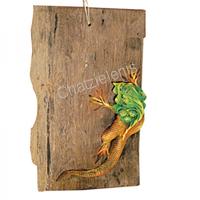 189060 Ιγκουάνα σε Ξύλο