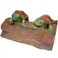 189066 Χελώνες σε Κορμό