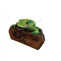 189068 Βάτραχος σε Κορμό
