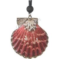 702819 ΚΟΛΙΕ ΟΣΤΡΑΚΟ ΕΠΙΧΡΥΣΟ PECTEN PALLIUM