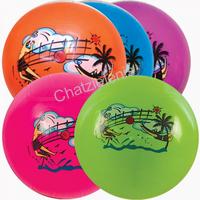 891343 Μπάλες Volley