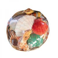 105462 Καλάθι με Όστρακα Fruits of The Sea 8΄